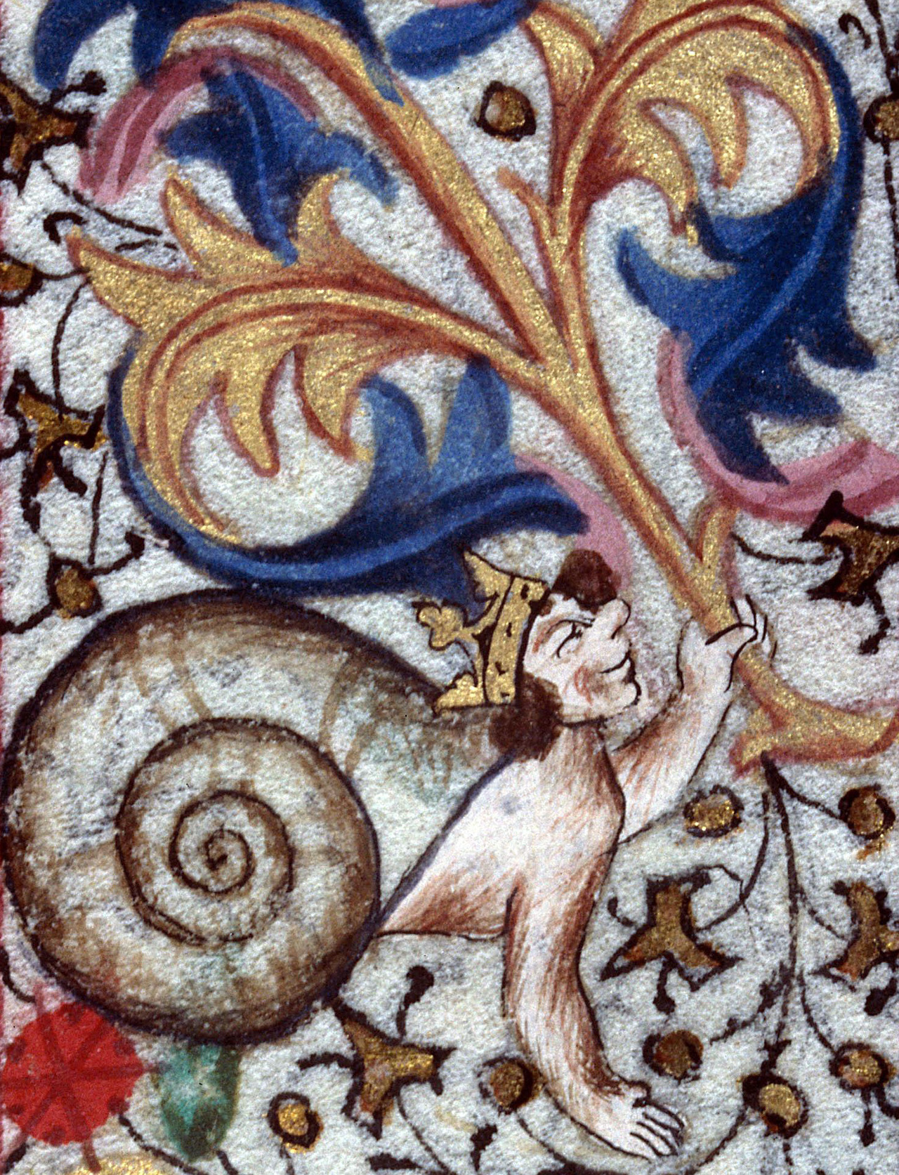Aberrations 0304.jpg