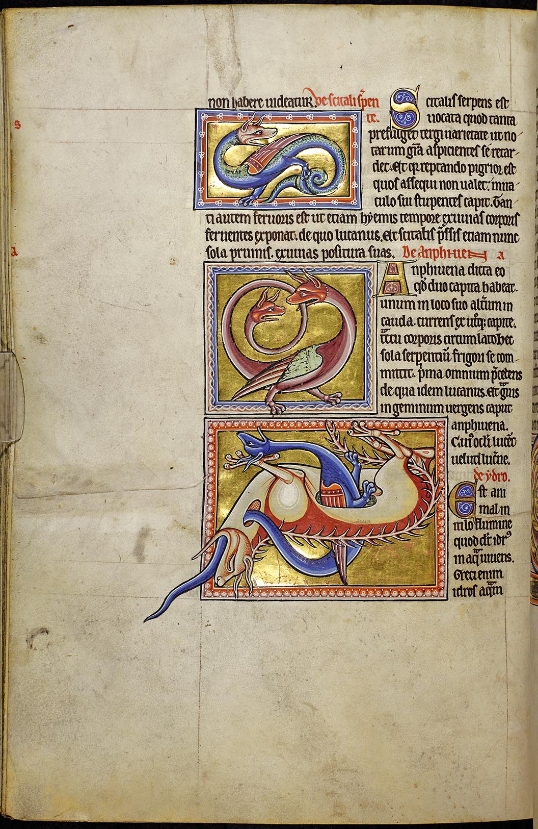 f68v.jpg