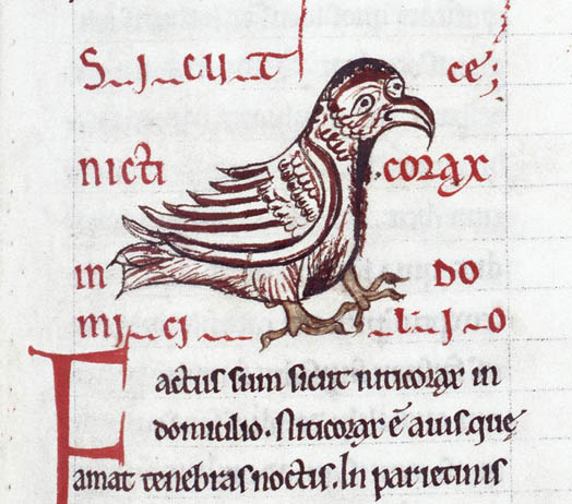 ois_145.jpg