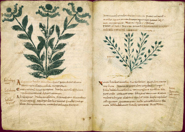Carolingiens 0103.jpg