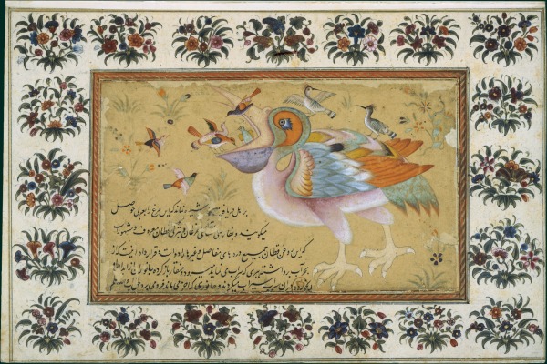 Inde 0048.jpg