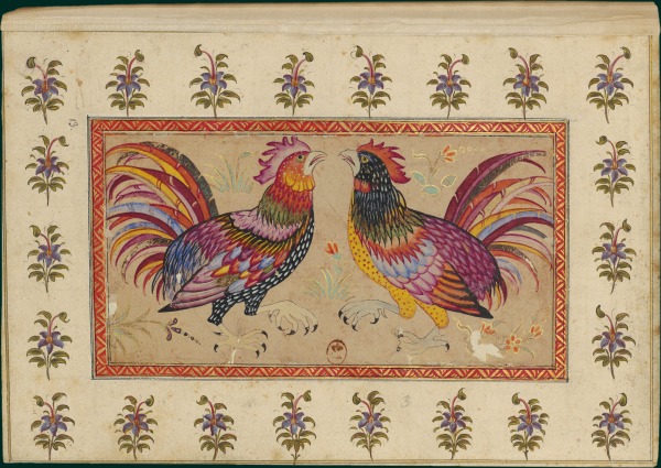 Inde 0097.jpg