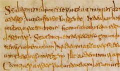 e136.jpg