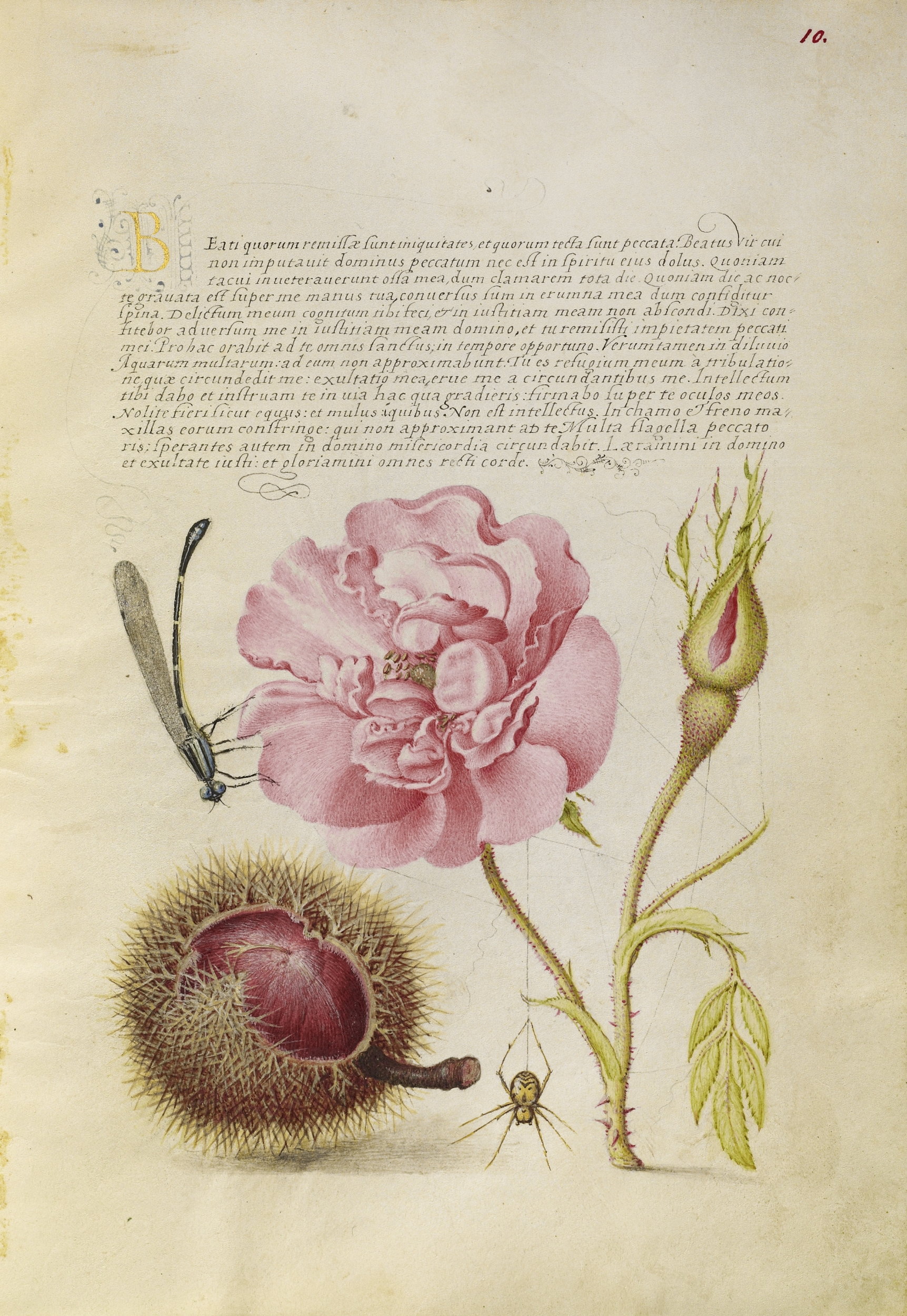 Mira calligraphiae monumenta 0014.jpg