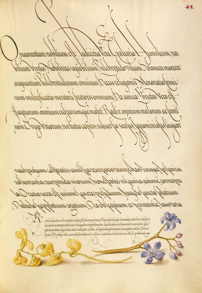 Mira calligraphiae monumenta 0024.jpeg