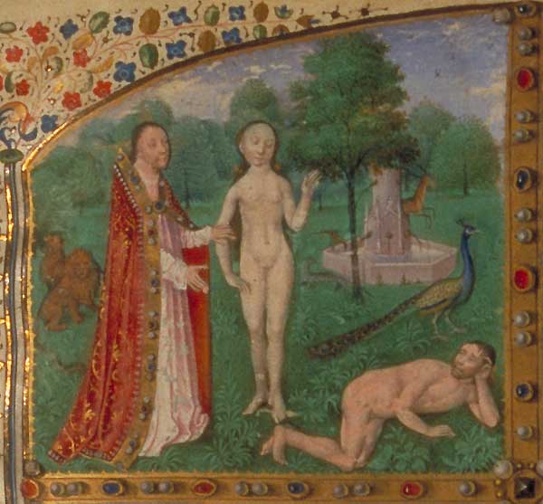 Phebus 0009.jpg