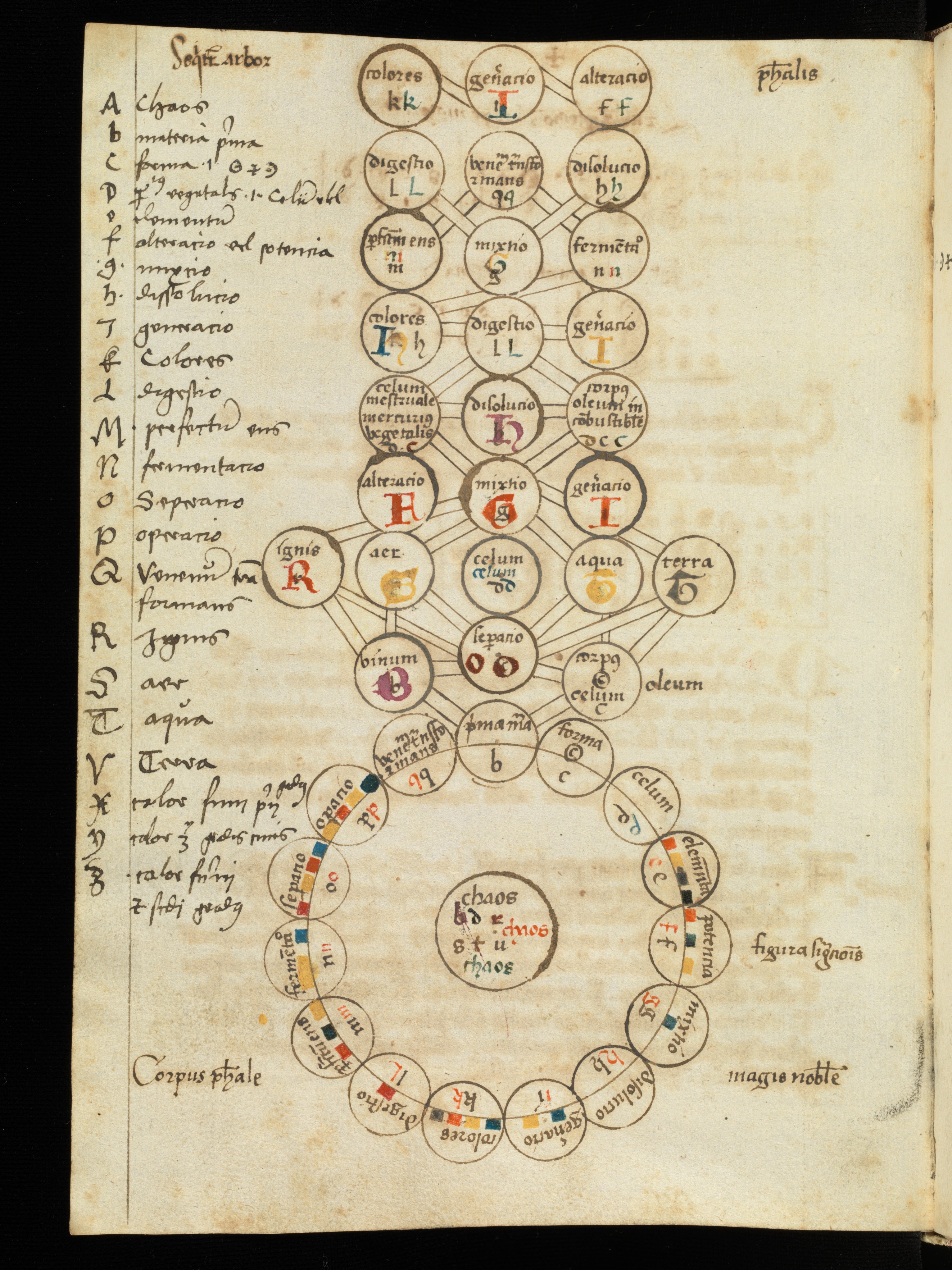Ms 0023.jpg