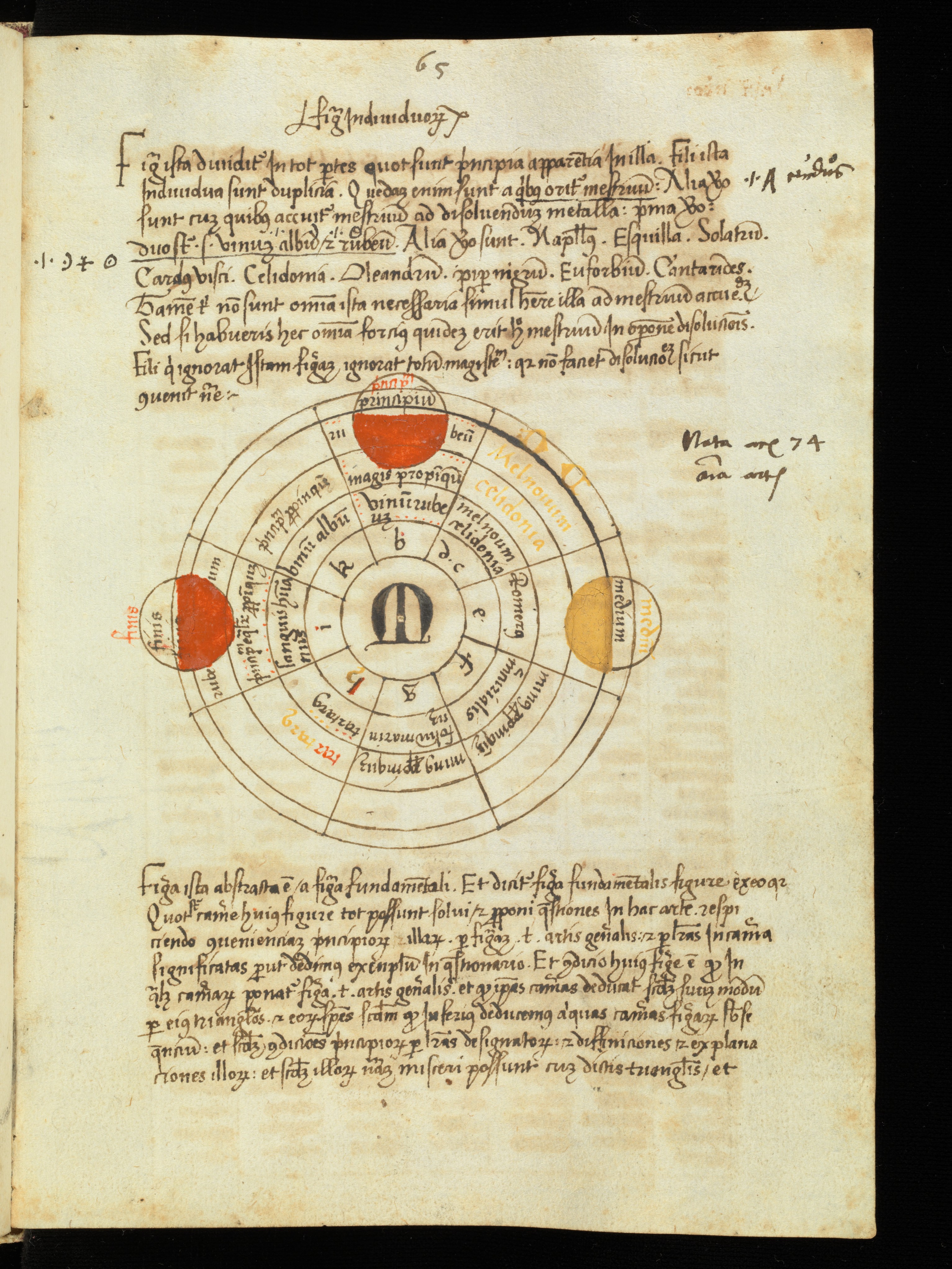 Ms 0024.jpg