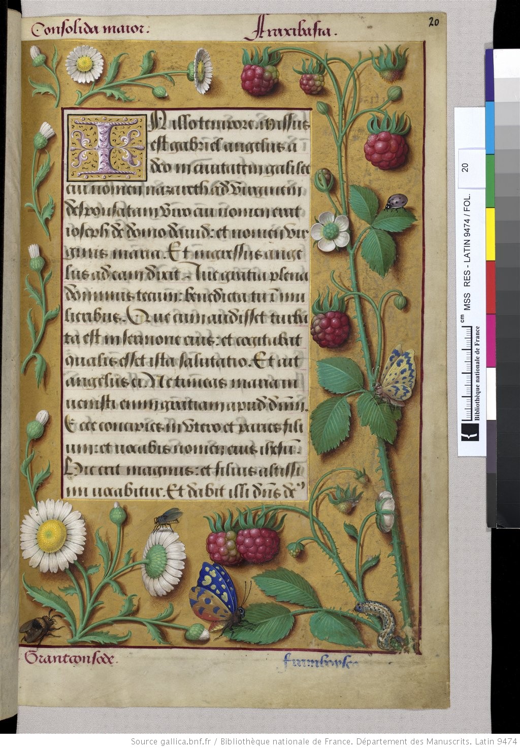 Riches heures Anne de Bretagne 0003.jpeg