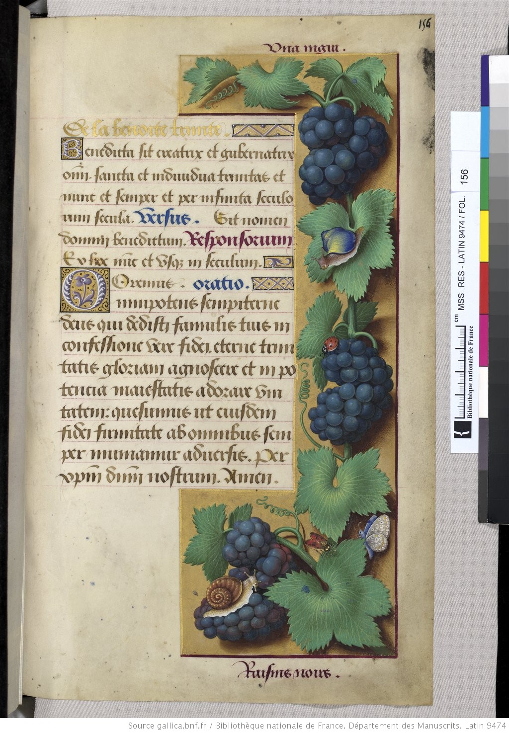 Riches heures Anne de Bretagne 0029.jpeg
