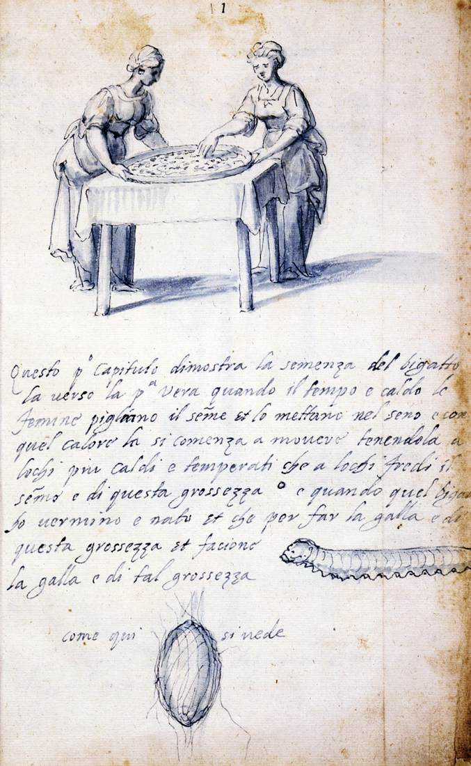 Traité sur la culture et la manufacture de la soie (série de treize dessins n° 1)