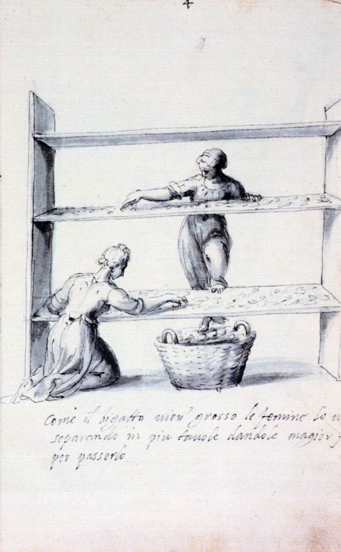 Traité sur la culture et la manufacture de la soie (série de treize dessins n° 4)