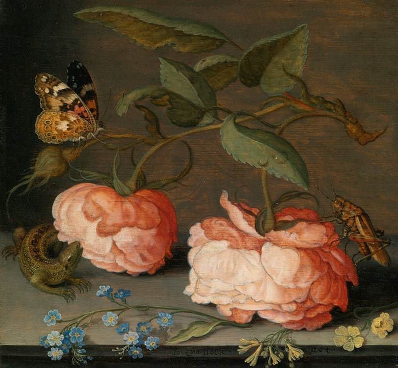 nature-morte