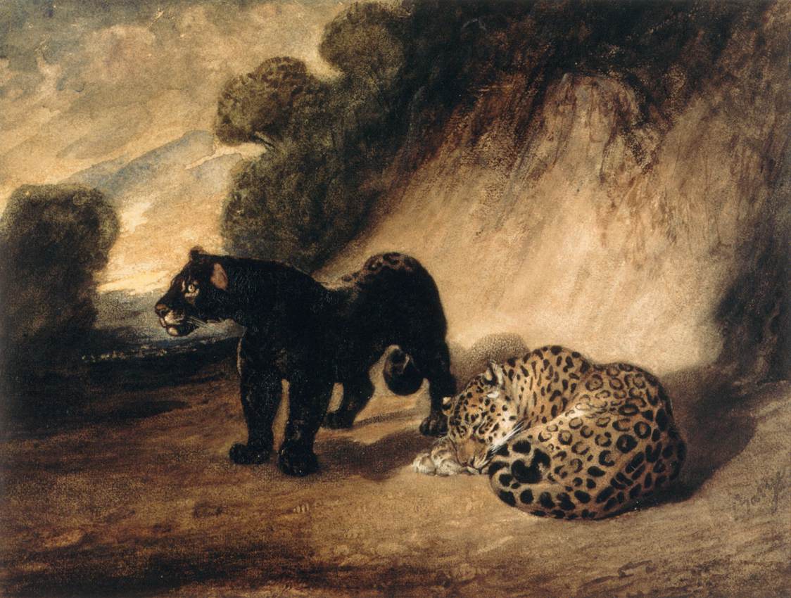 Deux jaguars du Pérou