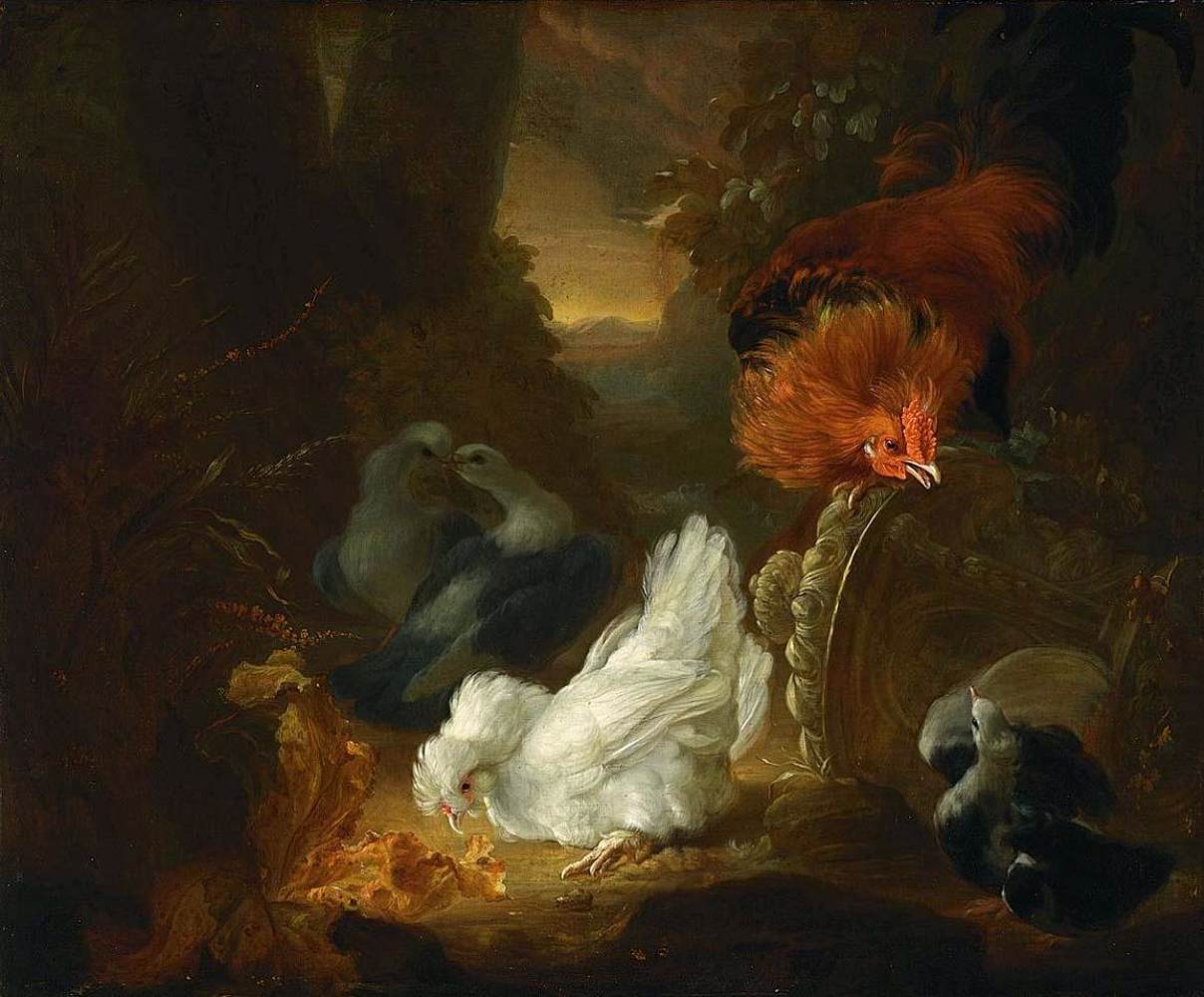 Oiseaux dans un paysage boisé