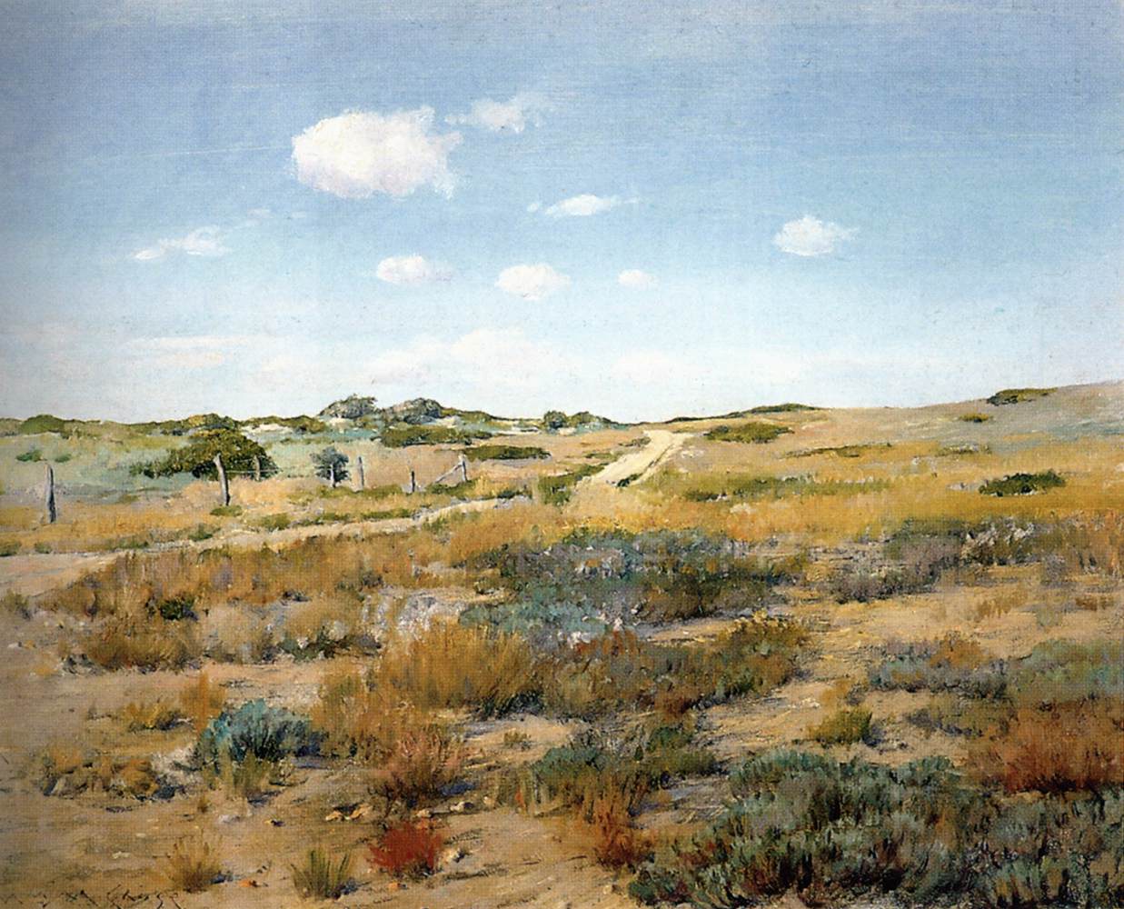 Les Shinnecock Hills