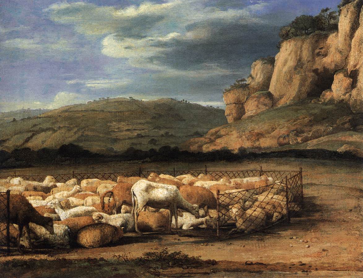 Troupeau de moutons dans la Campagna