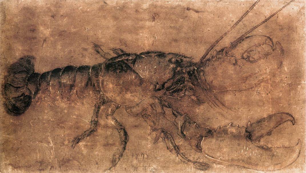 Homard