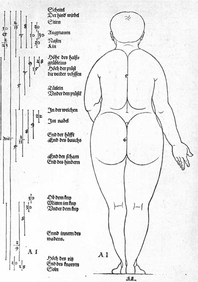 Vue arrière du type de tête féminine n°7