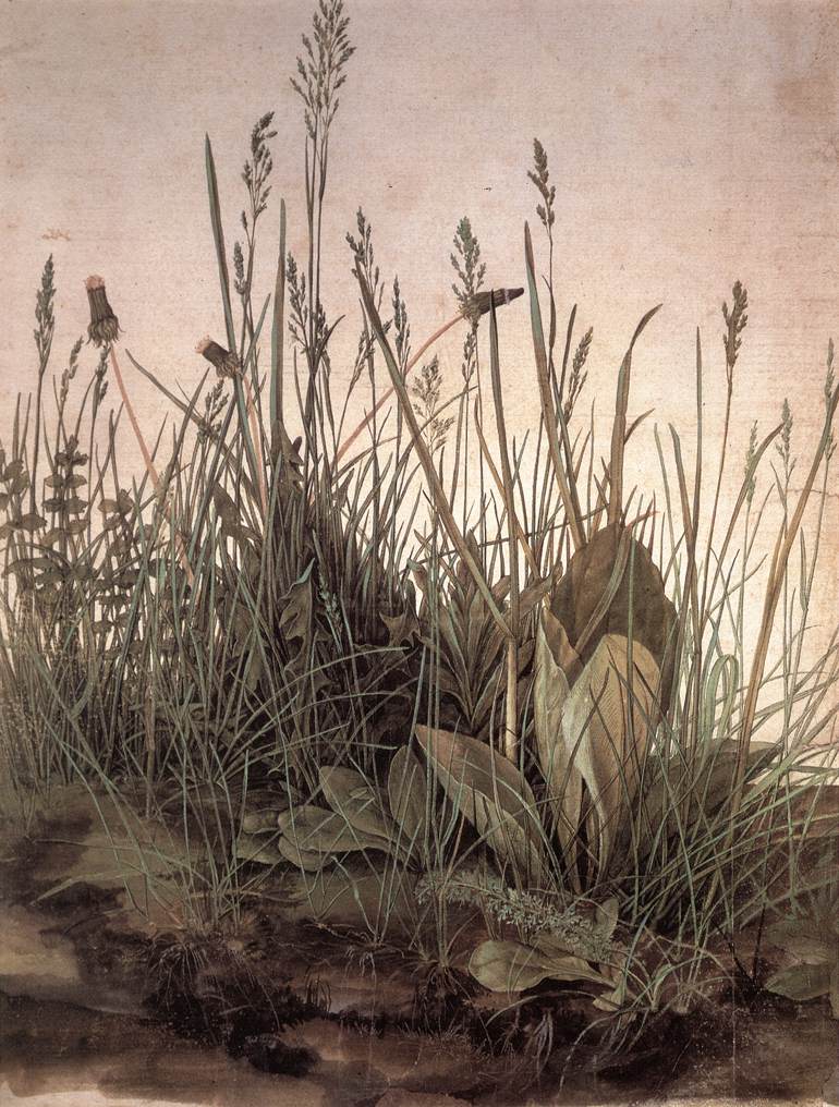 La grande touffe d'herbe