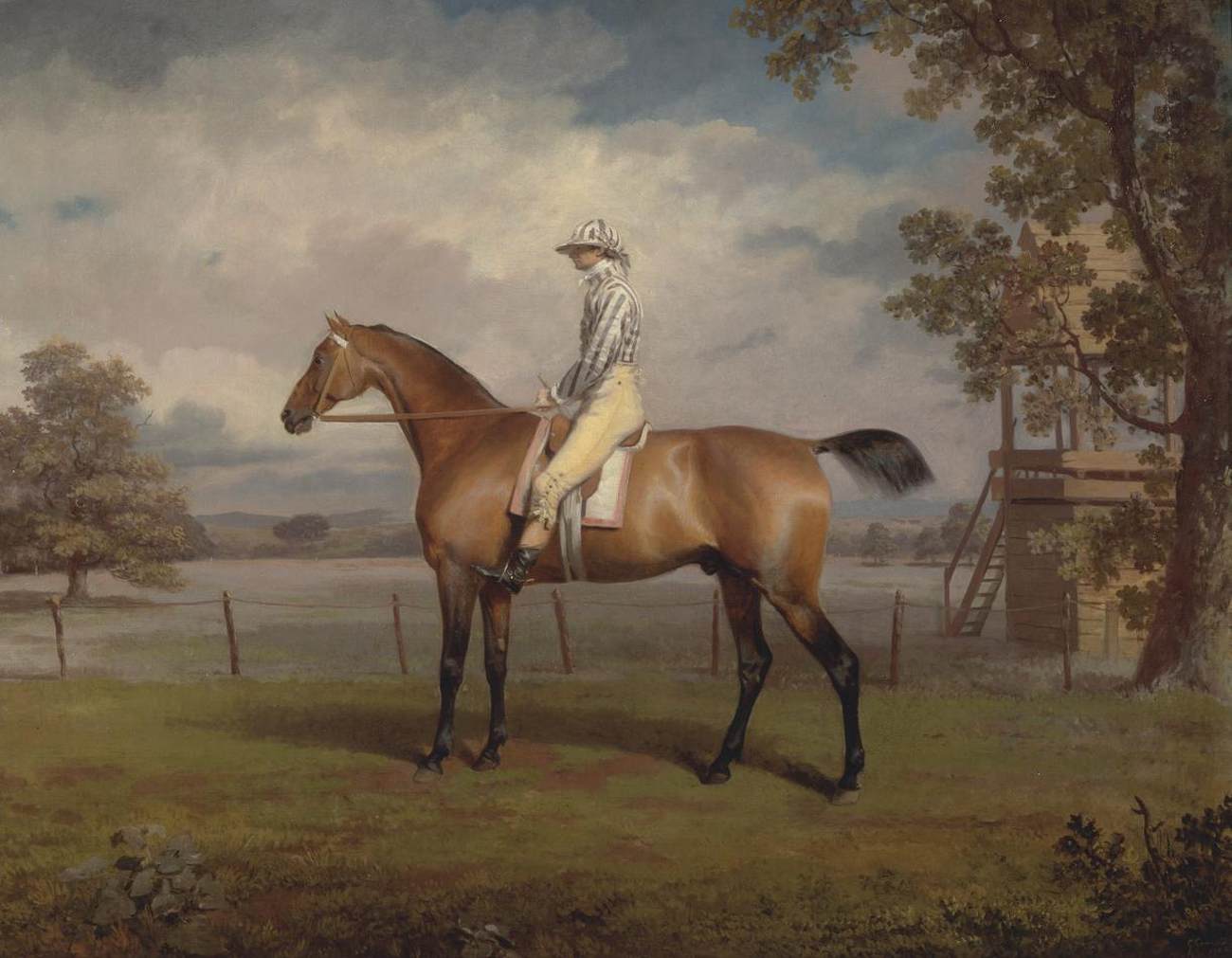 Cheval de course avec son jockey