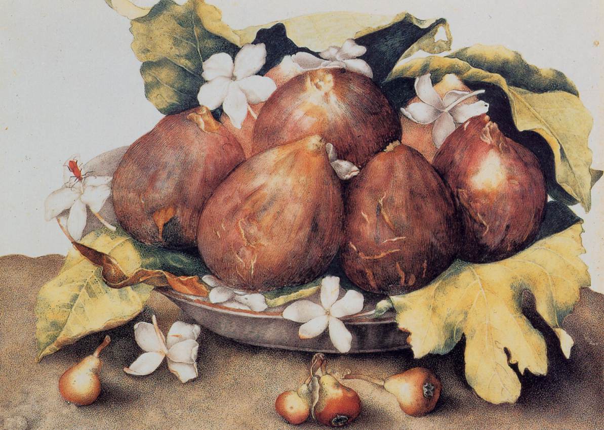Figues