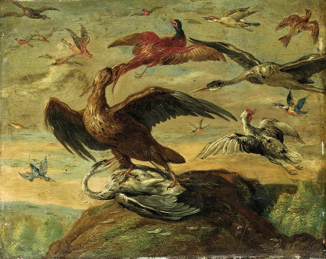 Oiseaux