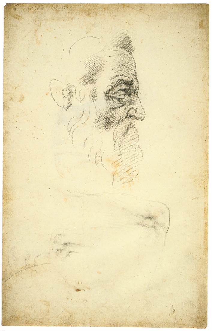 Tête barbue de profil (recto)