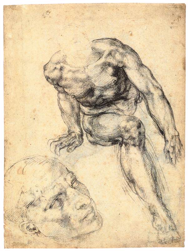 étude de Male Nude (recto)