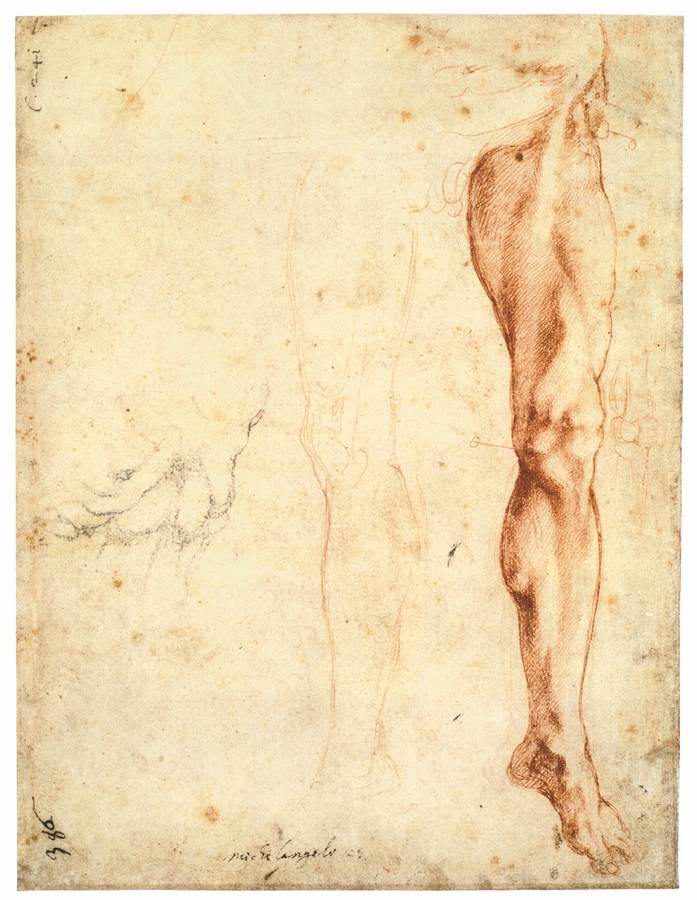 étude de Left Male Leg (verso)