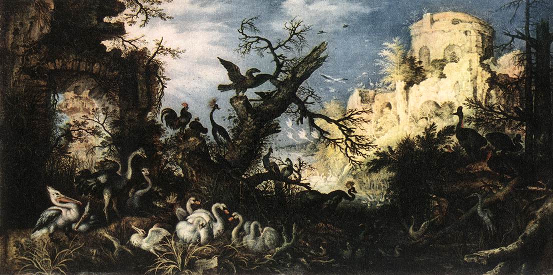 paysage avec Birds