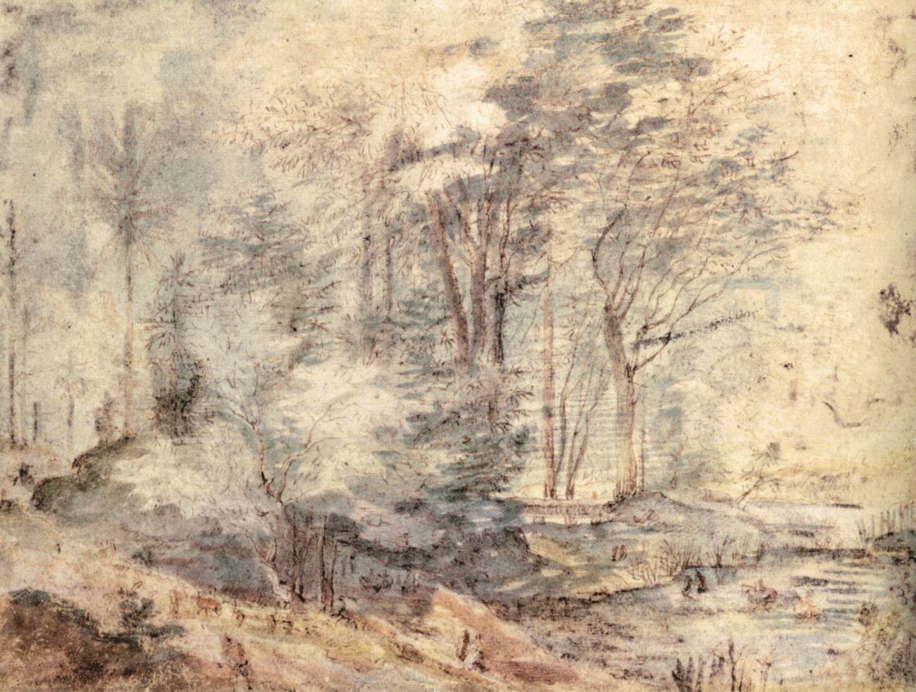 paysage and Pond
