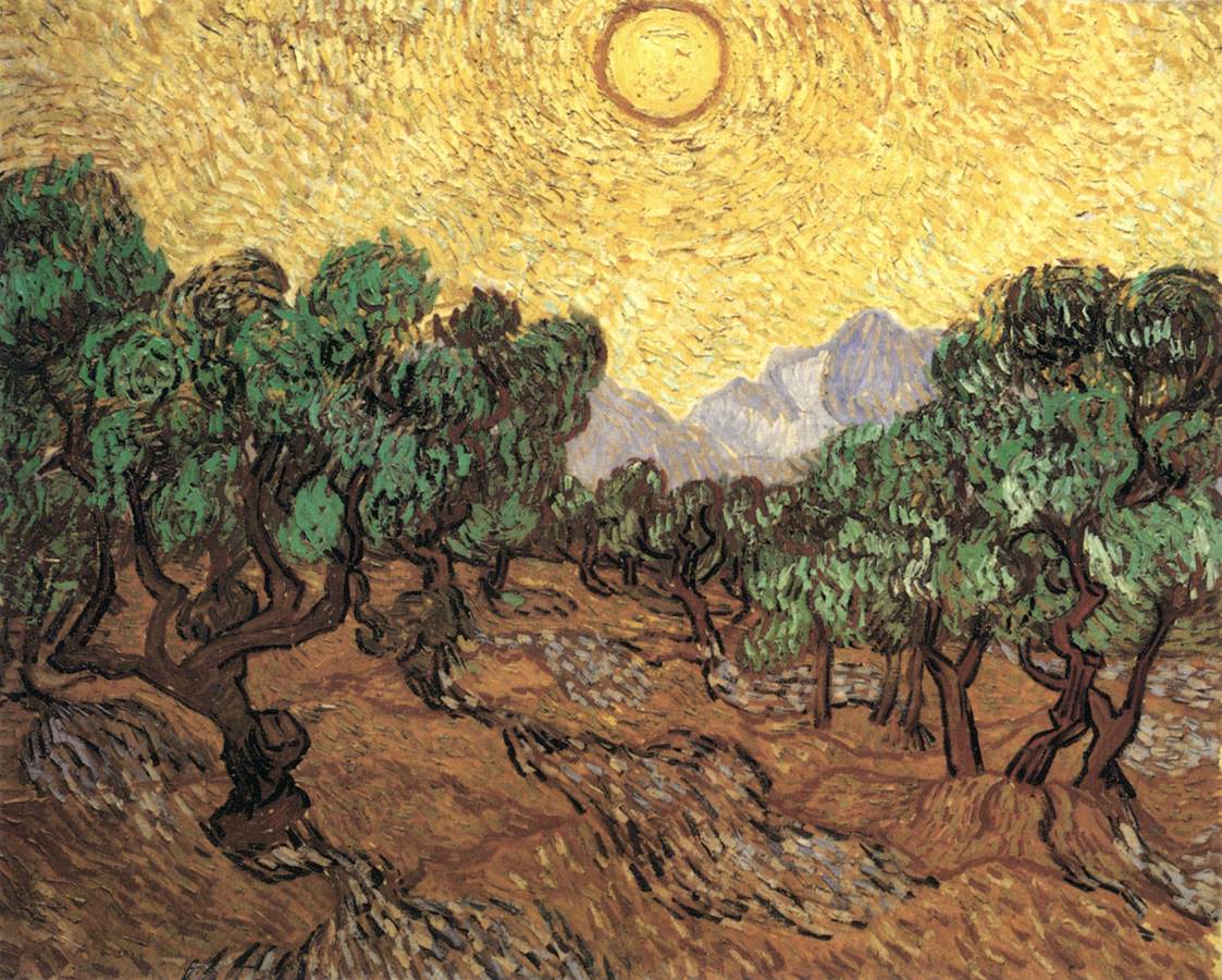 Oliviers sous un ciel jaune avec le soleil