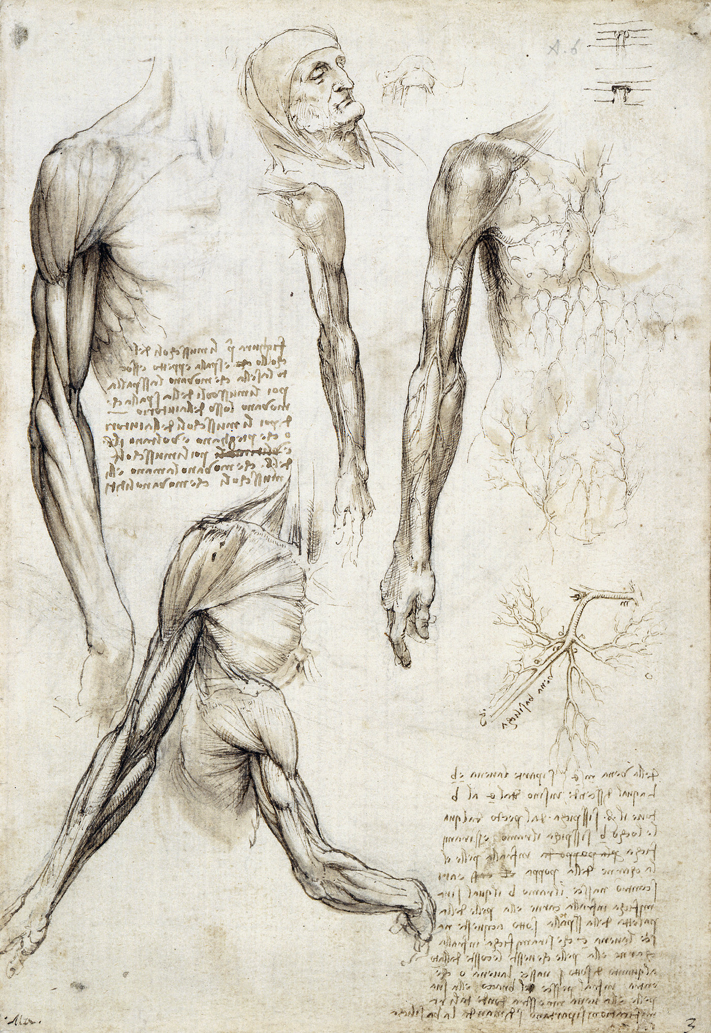 Vinci 0093.jpg