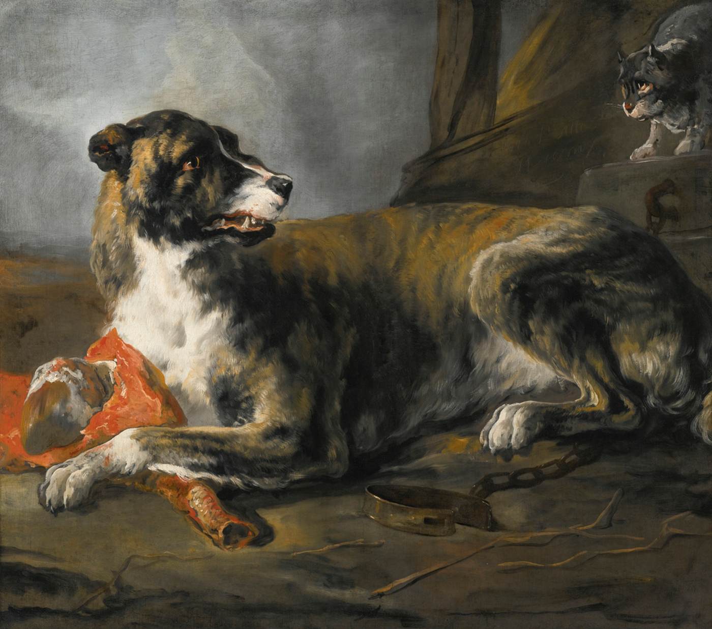 Chien avec un morceau de viande et un chat regardant