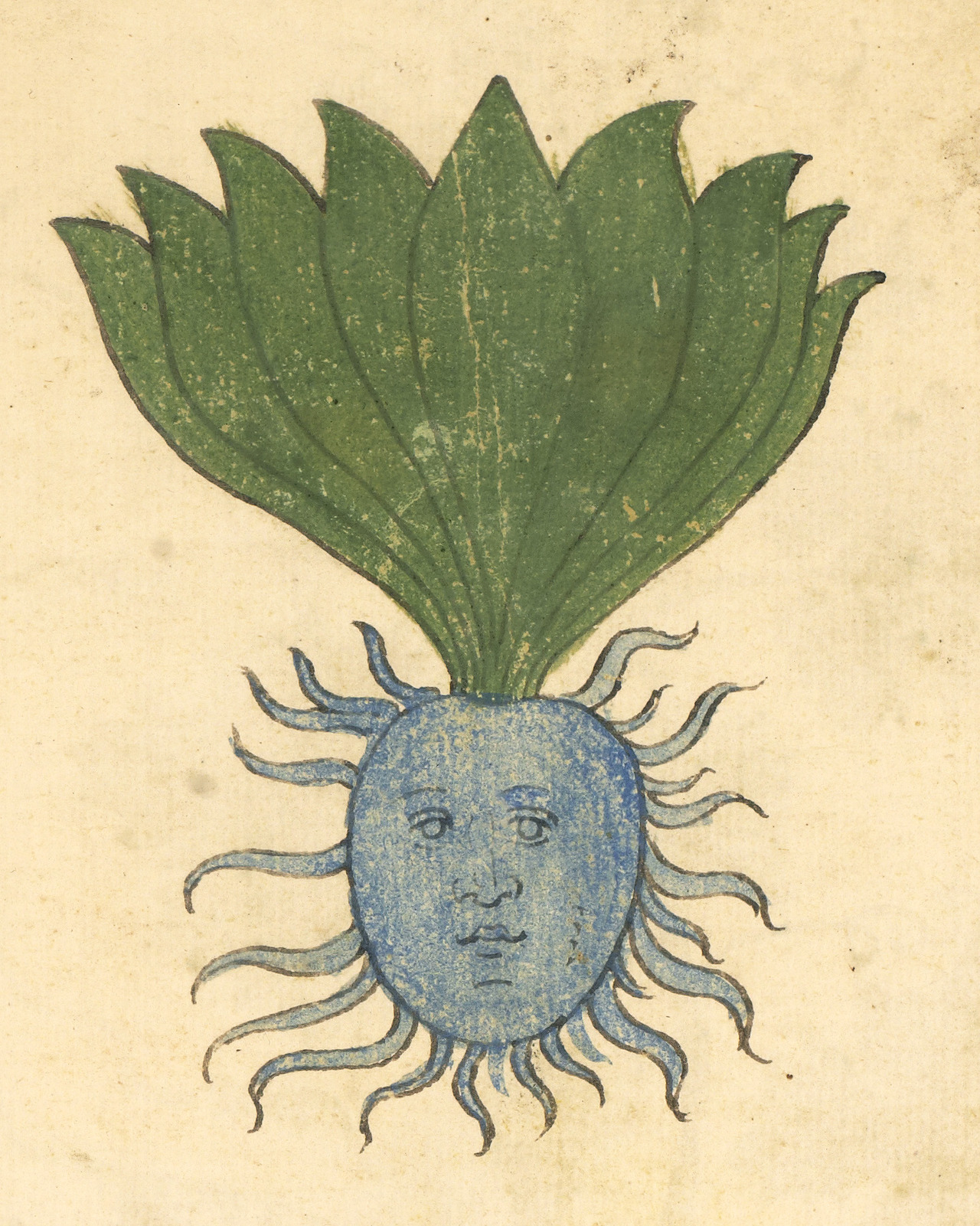 Aberrations 0090.jpg