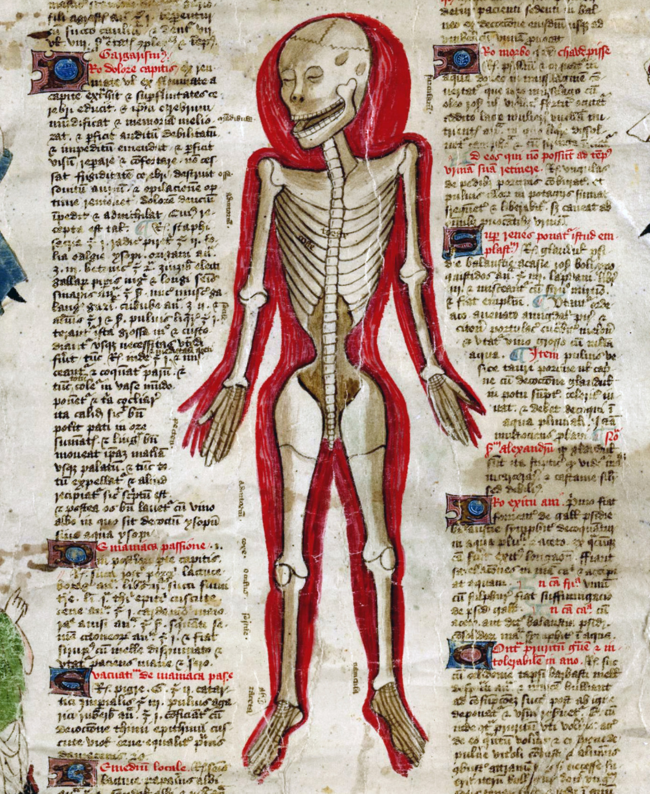 Aberrations 0262.jpg