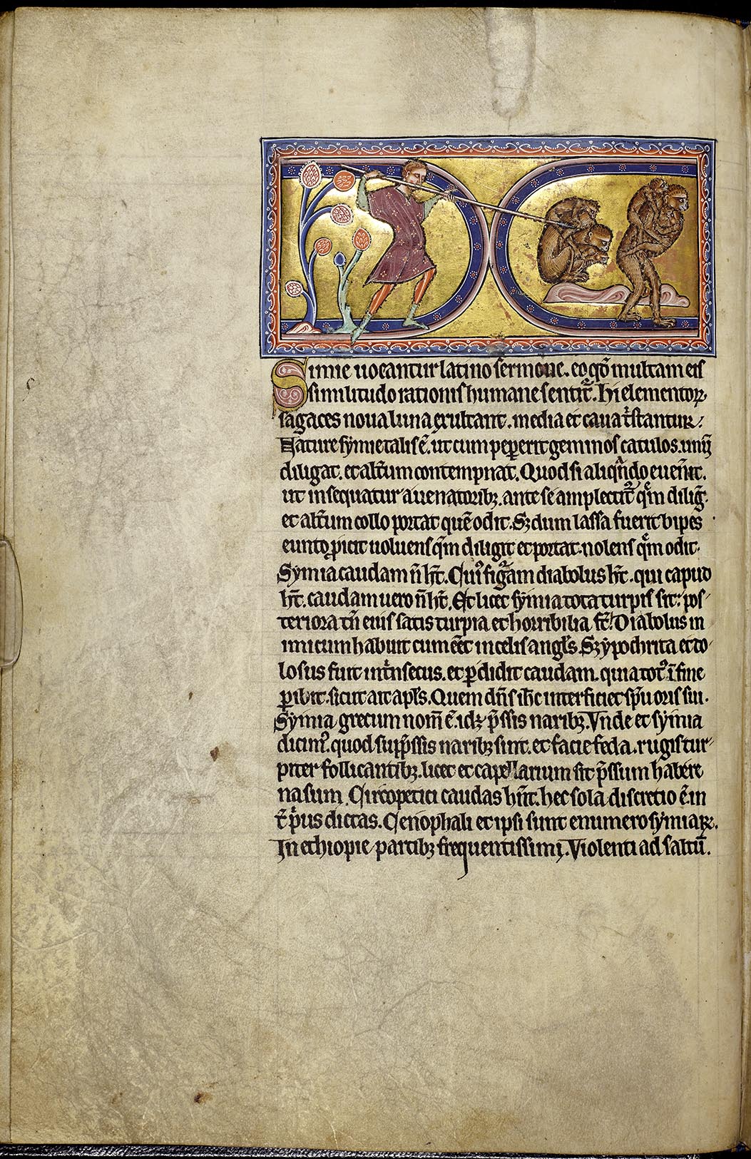 f12v.jpg