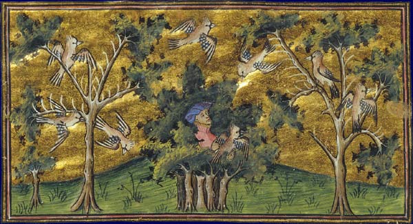 12_04_bnf.jpg