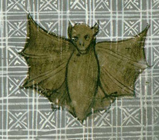 bar_160v_c_2.jpg