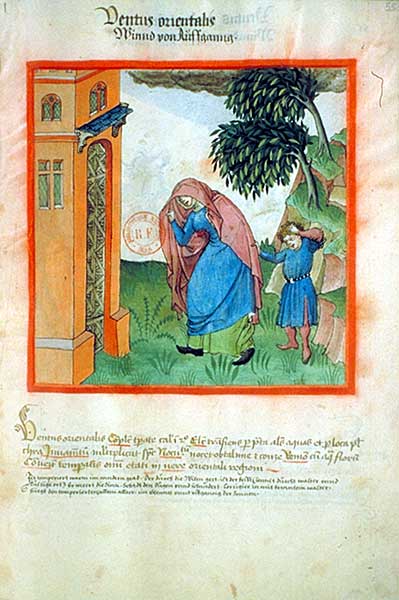 161.jpg
