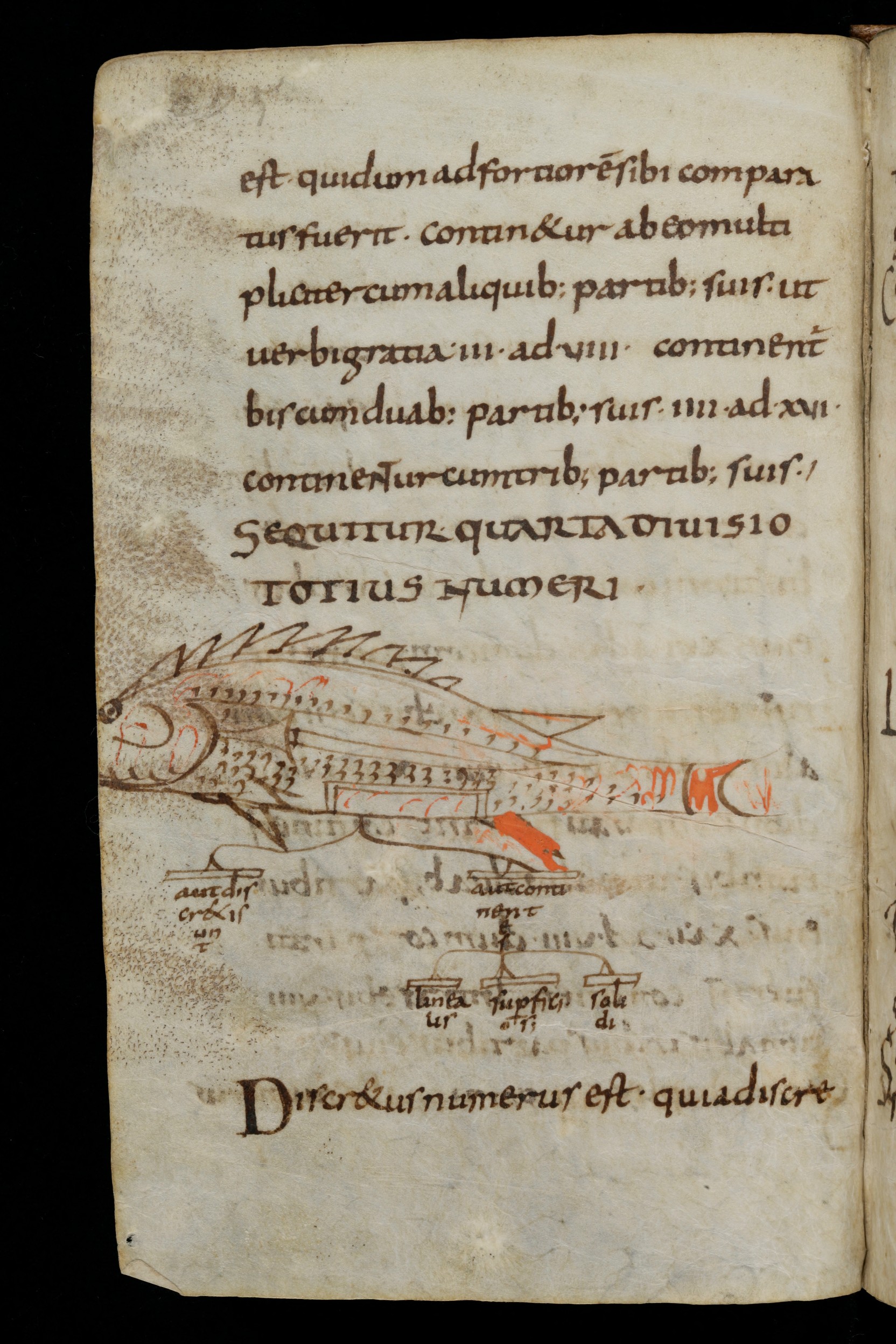 Grammatica de rhetorica 0020.jpg