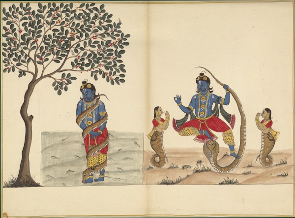 Inde 0256.jpg