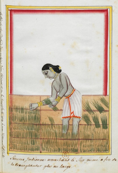 Inde 0468.jpg
