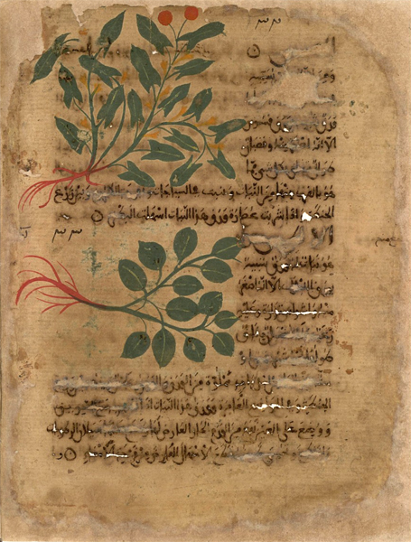 Islam 0235.jpg