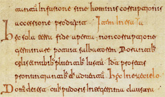 e137.jpg