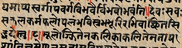 n113_2.jpg