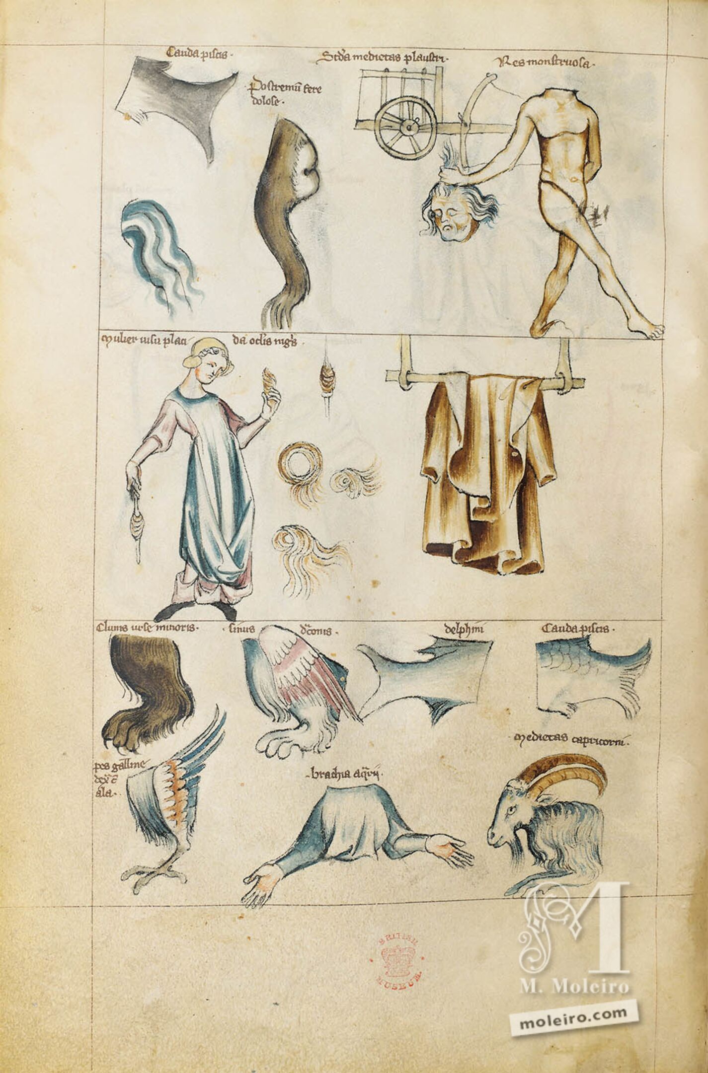 Liber astrologiae 0023.jpg