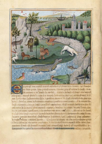Mappemonde d'Ebstorf 0072.jpg