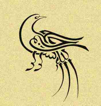 Micrographies 0006.jpg